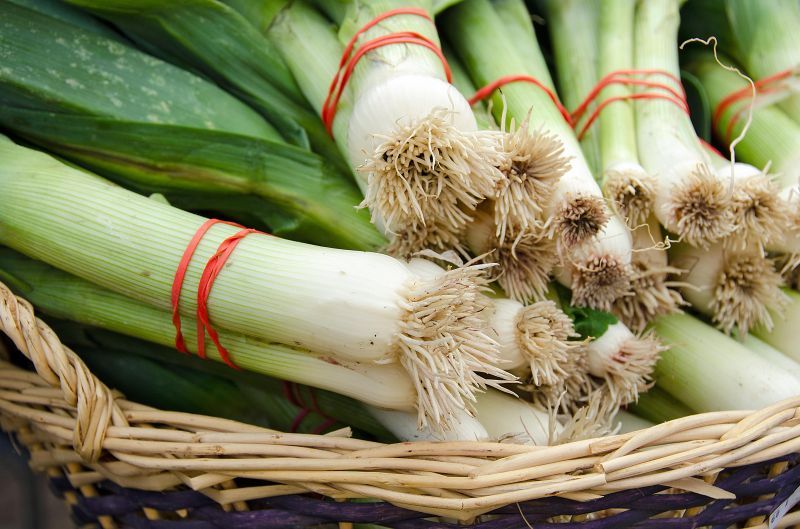 Gummiringe lebensmittelecht und latexfrei Gummiringe lebensmittelecht und latexfrei